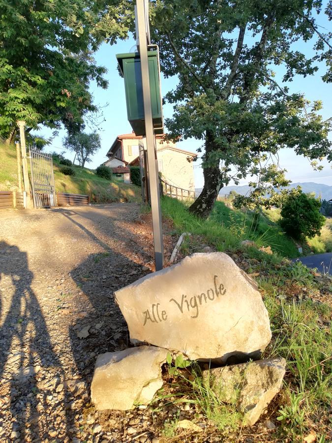 Bed and Breakfast Alle Vignole Coreglia Antelminelli Exterior foto